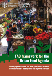 إطار خطة عمل منظمة الأغذية والزراعة حول الغذاء في المناطق الحضرية